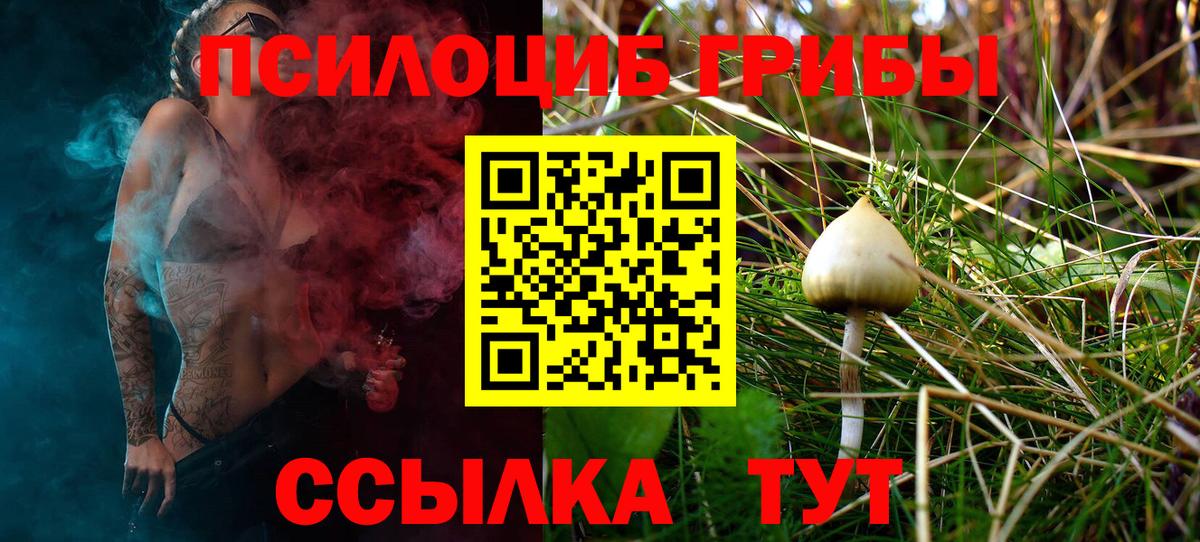 Галлюциногенные грибы Magic Shrooms Урус-Мартан