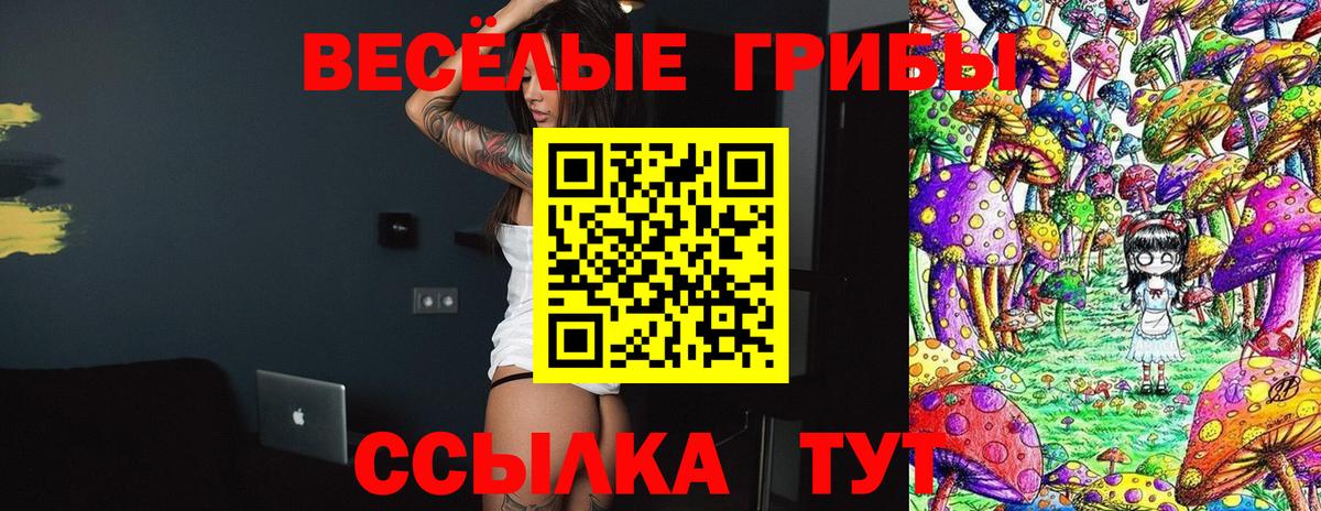 Галлюциногенные грибы MAGIC MUSHROOMS  Вход с VPN  Урус-Мартан  наркошоп  Псилоцибиновые грибы Psilocybe 